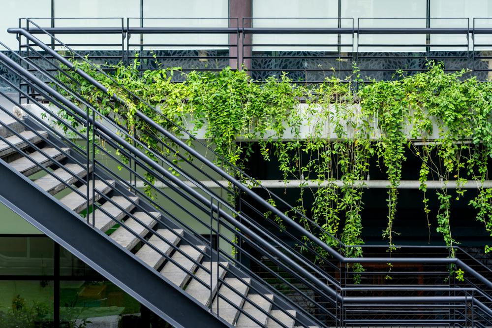 escalier.jpg escalier.jpg